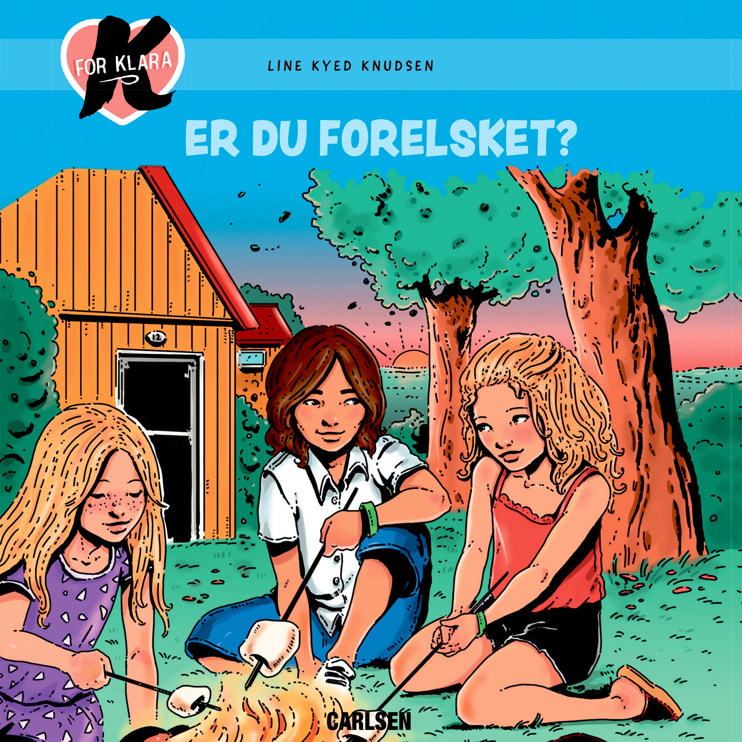 Forside billede